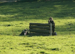  El trabajo en equipo es importanle 